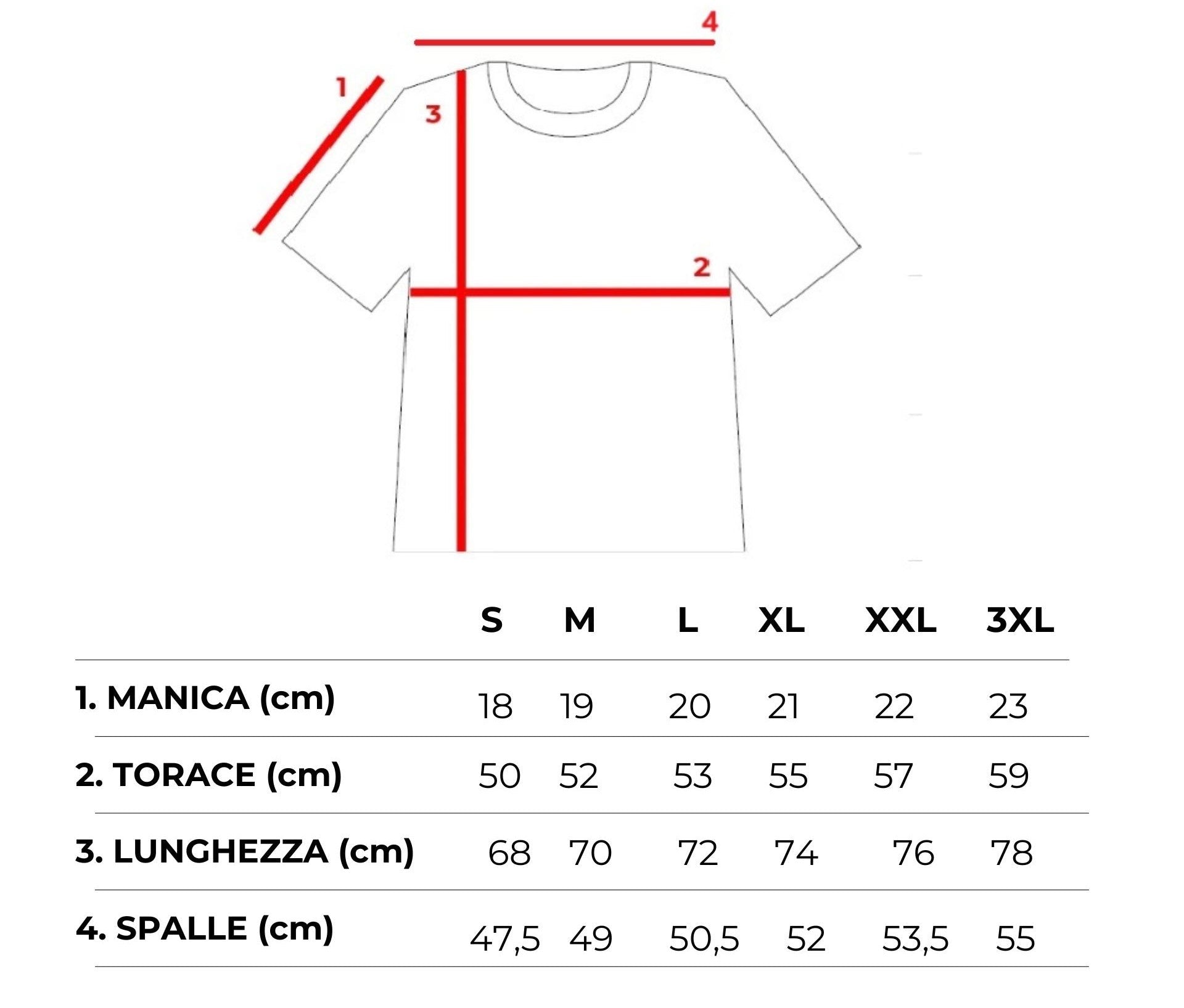 BASIC T-SHIRT 100% PREMIUM COTTON - 11361